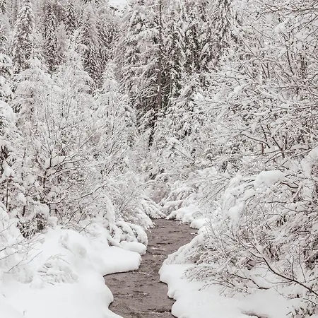 Bed & Breakfast Aura Sankt Jakob in Defereggen