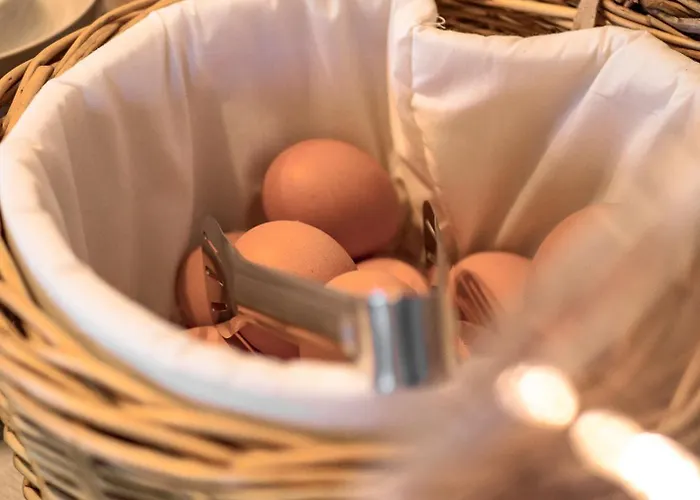 Frühstückspension Aura 3*