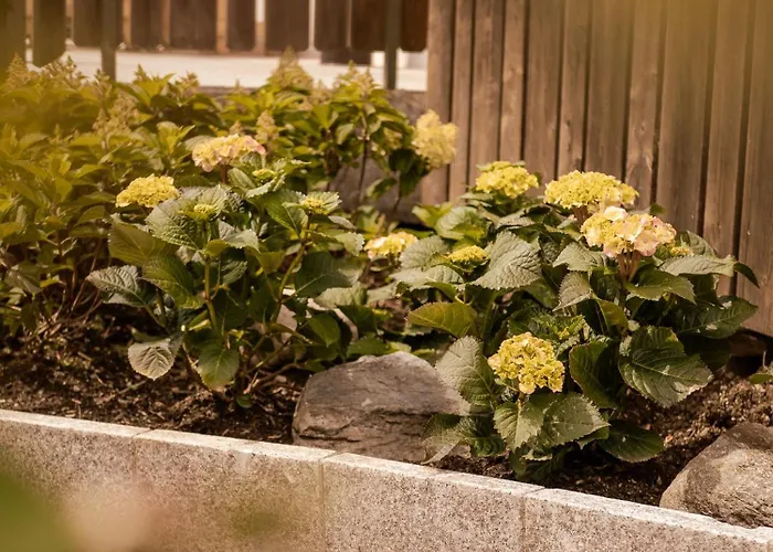 Aura Frühstückspension