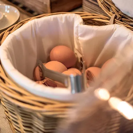 Couette-café Aura 3*